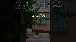 القرانالكريم راحةالبالوهدوءالنفس [upl. by Naujled]