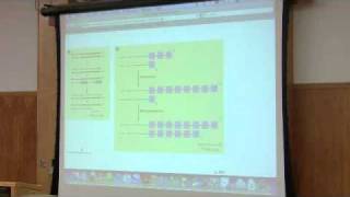 DNA Synthesis DNA Replication by Kevin Ahern Part 6 of 6 [upl. by Ahtamas]