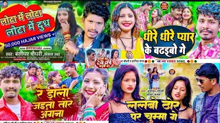 Bansidhar Chaudhary Ka Gana Nonstop 5 New song 2024 ke [upl. by Euqinotna]