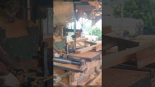 proses penggergajian kayu kempas wood bandsaw [upl. by Oeramed]