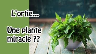 Lortieune plante miracle [upl. by Anin604]