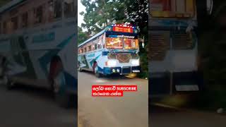 B amp B Group එකේ තවත් එක්කෙනෙක්💙💫කන්නගී✌️modified bus shorts automobile bus [upl. by Smiley]