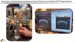 Robot Assisted OCTGuided External Approach to Subretinal Injections [upl. by Averil]