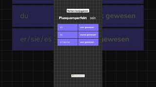 quotSeinquot im Plusquamperfekt  Deutsche Verben konjugieren ichlernedeutsch germangrammar [upl. by Wiersma168]