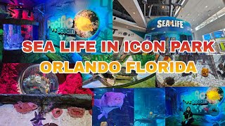 SEA LIFE IN ICON PARK [upl. by Nallid]