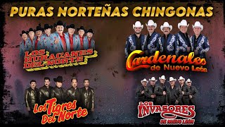 🎶¡Disfruta Puras Norteñas Chingonas con Los Grandes Del Norte🔥Los Tigres del Norte Los Huracanes [upl. by Danczyk]