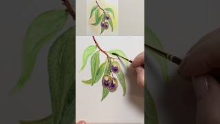 Olives Watercolor Оливки на ветке Акварель Shortsoliveswatercolorоливкиакварелькарандаши [upl. by Milah7]