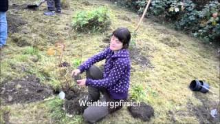 Gartenpiraten Permablitz [upl. by Ynneb]