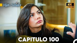 Pájaro Soñador Capítulo 100 Doblado En Español 4K [upl. by Ayanej]