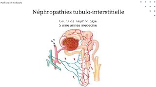 Néphropathie tubulointerstitielle chronique quotNTICquot nephro [upl. by Nayllij203]