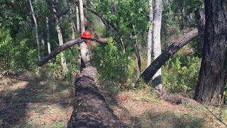 Land Management Building a Soil Erosion Control Berm and Burn Piles [upl. by Ikkin]