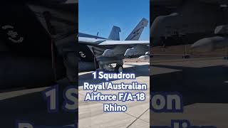 FA18 Super Hornet Rhino shorts shortvideo militaryaircraft [upl. by Alekim325]