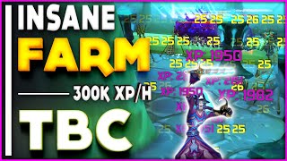 TBC CLASSIC  Insane Farm  300k XP Hour Lvl 60  70 [upl. by Hanoy132]