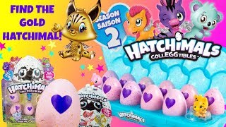 HATCHIMALS Colleggtibles Season 2 Find The Rare Gold Hatchimal [upl. by Ysak]