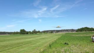 DC3 Congo Queen 9QCUK low pass at Stegeborg grass strip [upl. by Loralee]