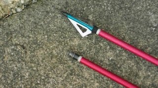 Crossbow Broadhead bolts vs Field tip bolts [upl. by Noelle]