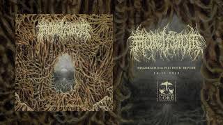 MORTIFERUM  Archaic Vision Of Despair official audio [upl. by Ahsirtap]