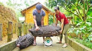 Pigs Grow To 90Kg After 5 Months of Raising  Selling Pigs Replant Vegetables  Free Bushcraft [upl. by Jaine]