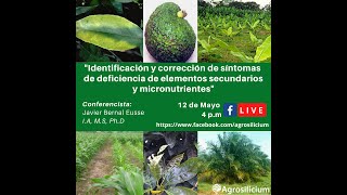 Agrosilicium Síntomas de deficiencia de elementos secundarios y micronutrientes [upl. by Eldnek]