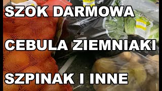 Szok Darmowa Cebula Ziemniaki Szpinak I inne Nie Ma Głodu [upl. by Willy482]