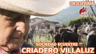 Criadero Villaluz en Sociedad Ecuestre Colombia con Olga Durán [upl. by Ramso555]