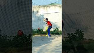 How Im Batting 🔥❤️ shorts youtubeshorts viralvideo cricket abhigupta08 [upl. by Sunev]