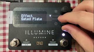 Neunaber ILLUMINE Reverb Sound with Acoustic Guitar 뉴네이버 일루민 어쿠스틱 기타 [upl. by Akered]