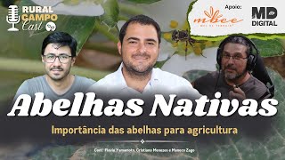 RuralCampoCast 62 Abelhas Nativas  Importância das abelhas para a agricultura [upl. by Godderd]