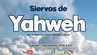 SIERVOS DE YAHWEH por el Roeh Dr Javier Palacios Celorio 🔴EN VIVO [upl. by Perkin293]