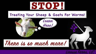 Stop Worming Your Sheep and Goats Start Treating Sheep and Goats for Parasites [upl. by Morganne]