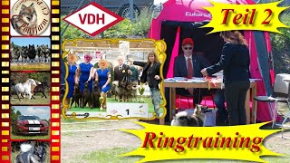 Hundeausstellung 26  Ringtraining für die Show  2 Training  Hund erfolgreich ausstellen  Tips [upl. by Hew178]