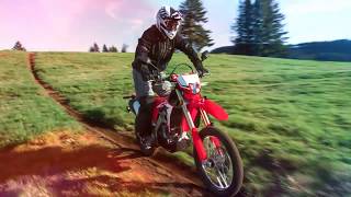 2020 HONDA CRF250L [upl. by Hadihsar815]