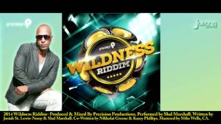 Shal Marshall  Wining Partner quot2014 Socaquot Wildness Riddim Precision Prod quotOFFICIALquot [upl. by Gates]