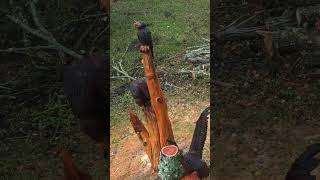 Chainsaw carved the Guard woodworking wood diy [upl. by Hercule464]