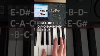 Piano MASTER Shares Easy Fur Elise Tutorial for Beginners [upl. by Lee164]