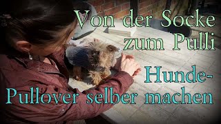 Hundemantel selber nähen  von der Socke zum Pulli  Hundemantel stricken  Hundepulli Hundepullover [upl. by Channing]