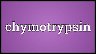 Chymotrypsin Meaning [upl. by Nosmirc]