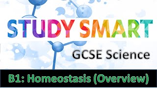 B1 Homeostasis Overview EDEXCELAQA [upl. by Ennayar]