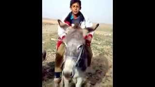 mndaleki zor dang xosh منداڵێكی دەنگ خۆش [upl. by Jessy]