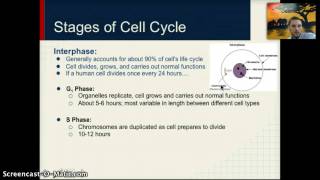 IB 16  Cell Cycle [upl. by Hatokad]