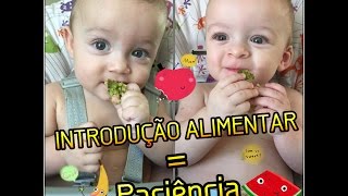 Introdução Alimentar dos gêmeos tem que ter PACIÊNCIA😥😅 e levando os bbs para creche sozinha 🙈 [upl. by Ameline]