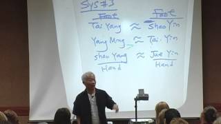 Balance Method by Dr Richard Tan for Elbow Pain  Online Acupuncture CEU [upl. by Thera]