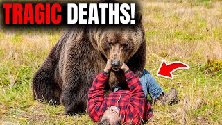 These 3 People BRUTALLY ATTACKED After Taking Pictures of Bears [upl. by Eleda892]