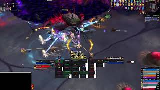 Heroic Nerubar Palace  Broodtwister Ovinax  Holy Paladin PoV [upl. by Nnoved]