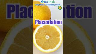 Placentation  Types of Placentation  Morphology of Flowering Plants  NEET  Class 11 Biology [upl. by Enirtak]