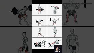 Quick Workout Video Perfect Your Leg Workout with Correct Form homeworkoutroutine shorts abs [upl. by Airotnes]