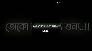 শুন্য শুন্য লাগে sad sadstory viralvideo trendingshorts [upl. by Enaffit]