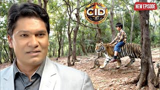 अभिजीत के होश उड़ गए बाघ और बच्चे को एक साथ देखकर  Best Of CID  Latest Episode [upl. by Arbed]