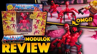 Motu Origins Modulok REVIEW Definitely NOT what I Expected [upl. by Addis62]