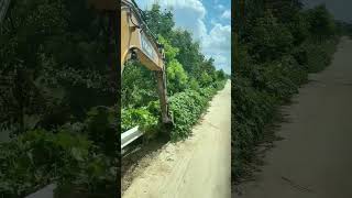 Highway guardrail vine clearing process [upl. by Eledoya]